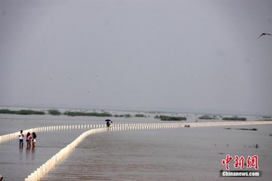 据了解,大湖池水中公路是永吴公路的一段,全长5.05km,为三级过水公路,于2013年11月下旬全路段双向全面开通。此公路的终点千年古镇吴城镇,途经著名的鄱阳湖候鸟保护区。